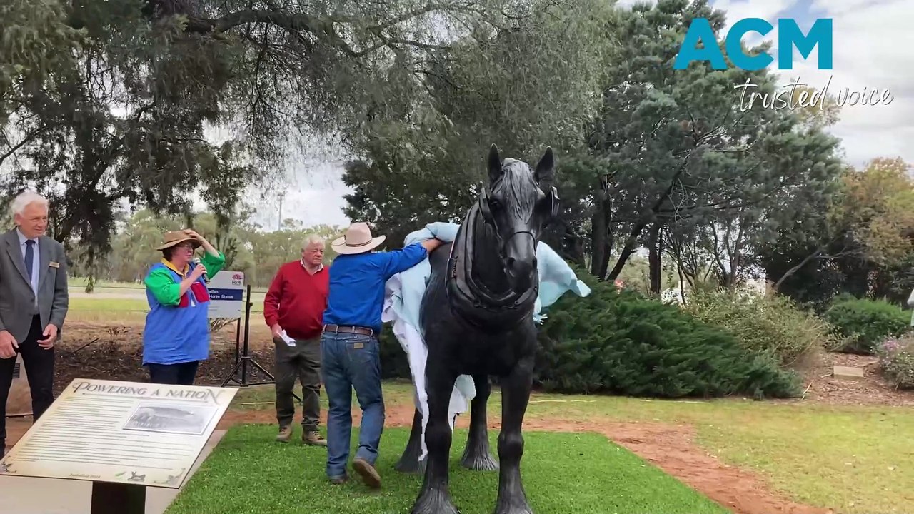 Barellan Statue unveiling