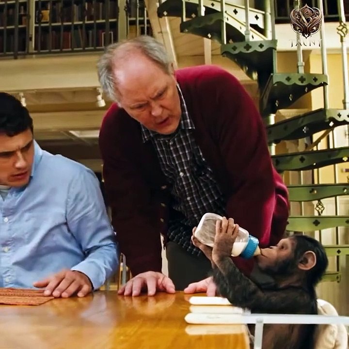 Monkey  Movies part 2