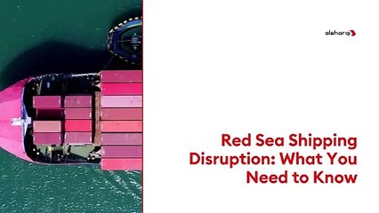 Red Sea Shipping in Crisis: Will the Suez Canal Remain the Key Trade Route?