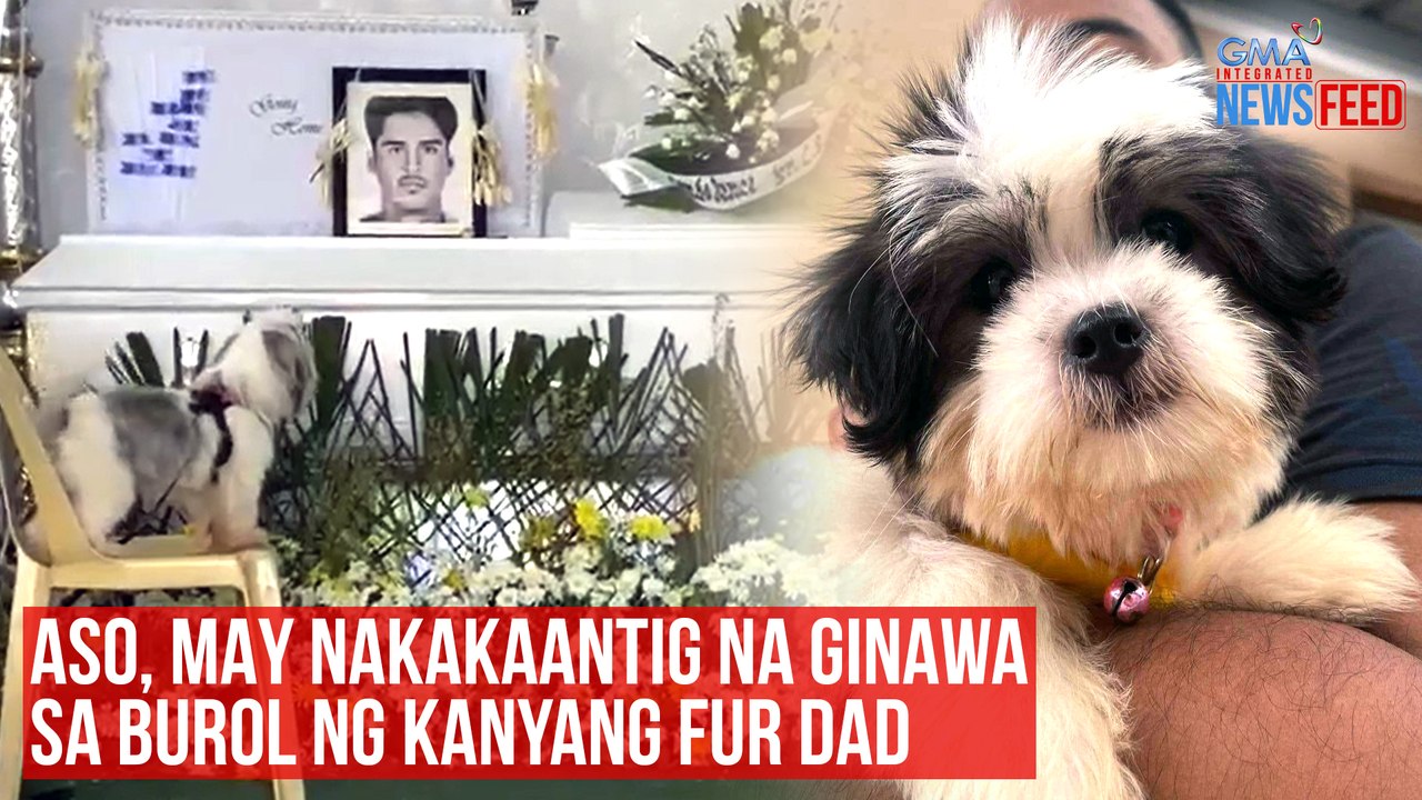 Aso, may nakakaantig na ginawa sa burol ng kanyang fur dad | GMA Integrated Newsfeed