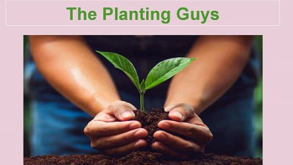 Deciduous Trees Mississauga