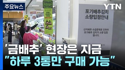 "배추 가격 떨어졌지만 8천 원대"...보릿고개 넘는 마트 풍경 / YTN