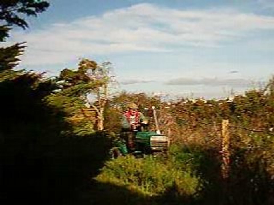 KERDU 01 11 06  Essartage N°2  de la propriété