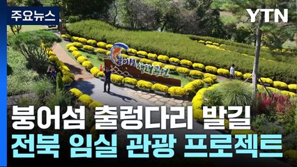 출렁다리 건너 옥정호 붕어섬 생태공원으로! / YTN