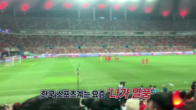 ○○○ 나가! ...지금 한국 스포츠계는 '나가 열풍' [앵커리포트] / YTN