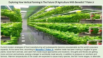 Colorado Man Benedict T Palen Jr - Exploring How Vertical Farming Is The Future Of Agriculture