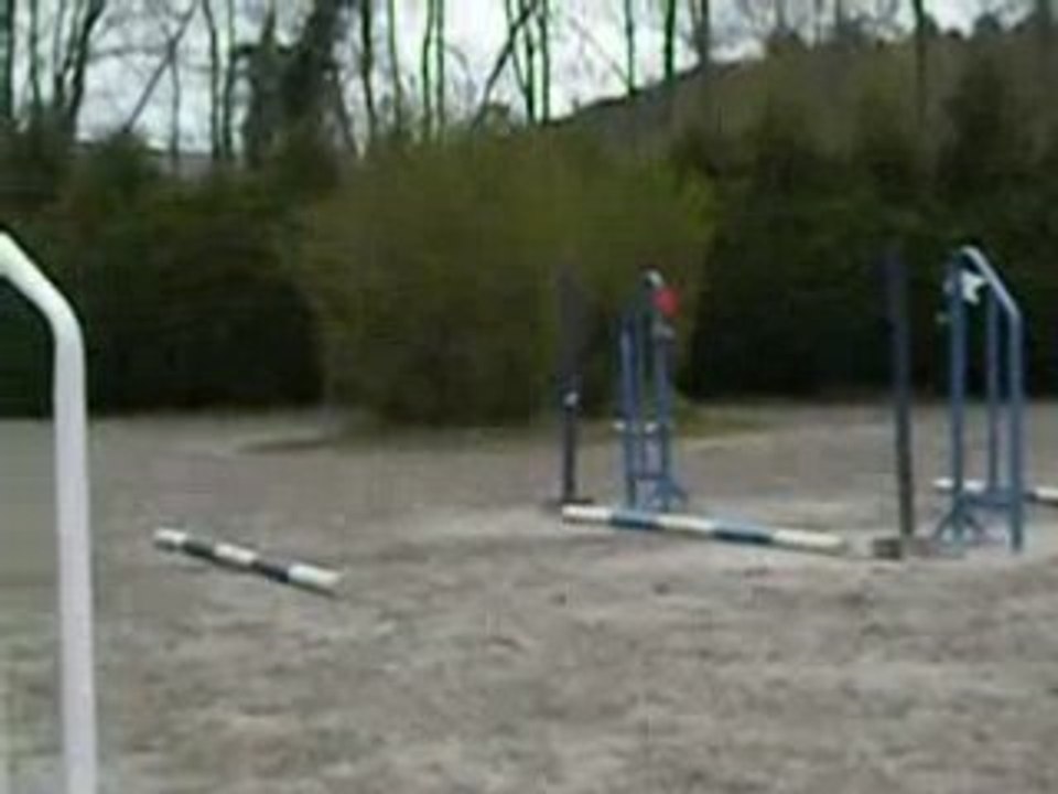 DSCN1061