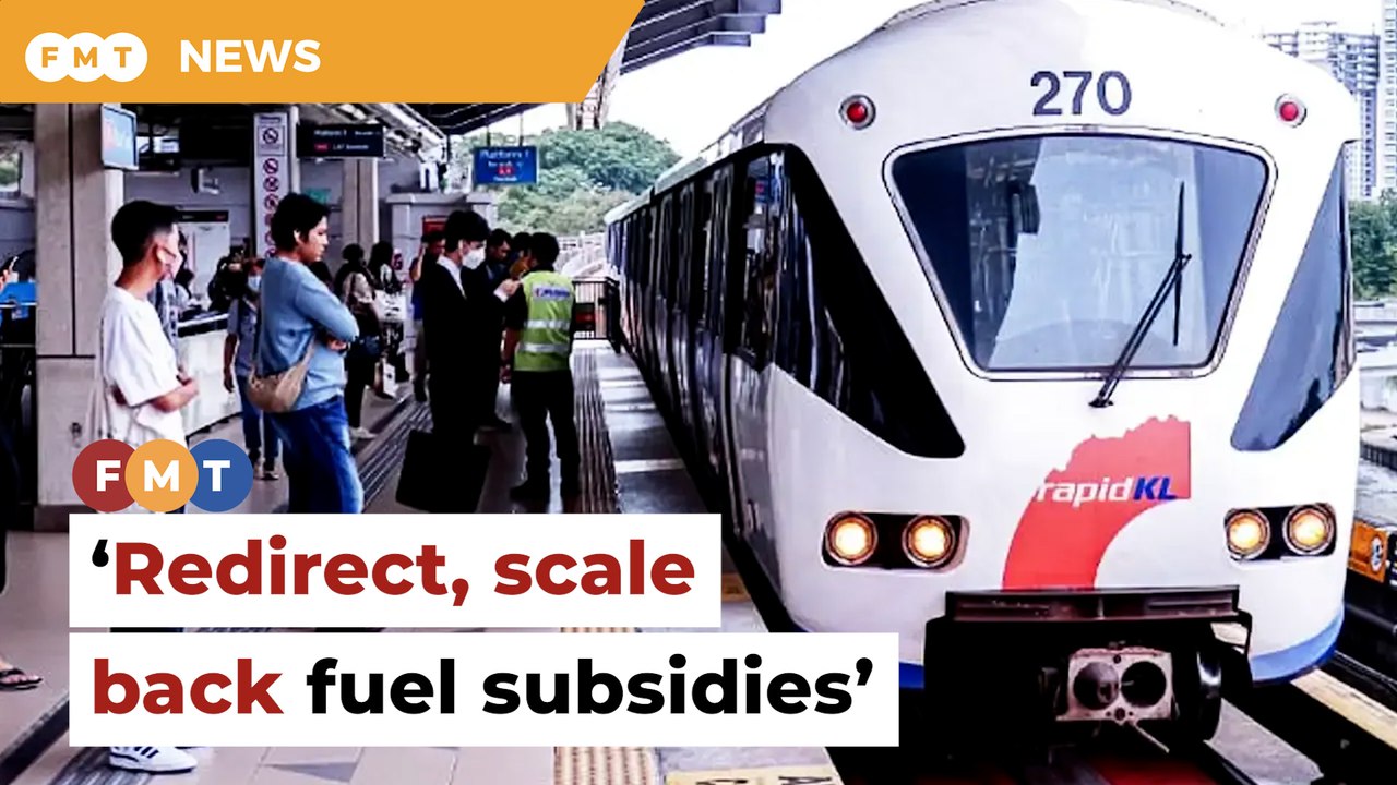Redirect fuel subsidies to improve public transport, govt told
