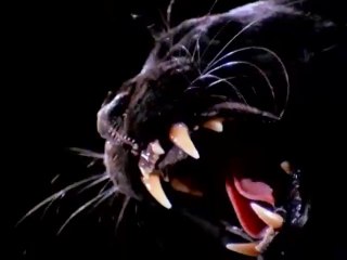 Manimal TV Series 1983 - Episode 01 - Manimal