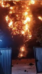 Incêndio atinge área de mata na Muzema e intertida Estrada do Itanhangá