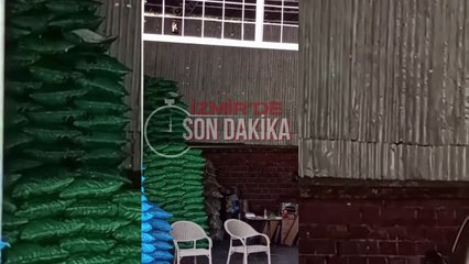 İzmir’de beyaz sinek sorunu büyüyor