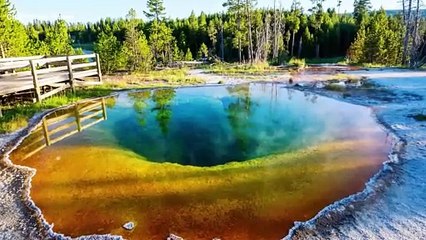 Morning Glory Pool's Colors Will Leave You Speechless!
