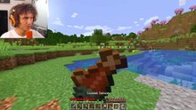 Surviving Hardcore Minecraft for 100 Days