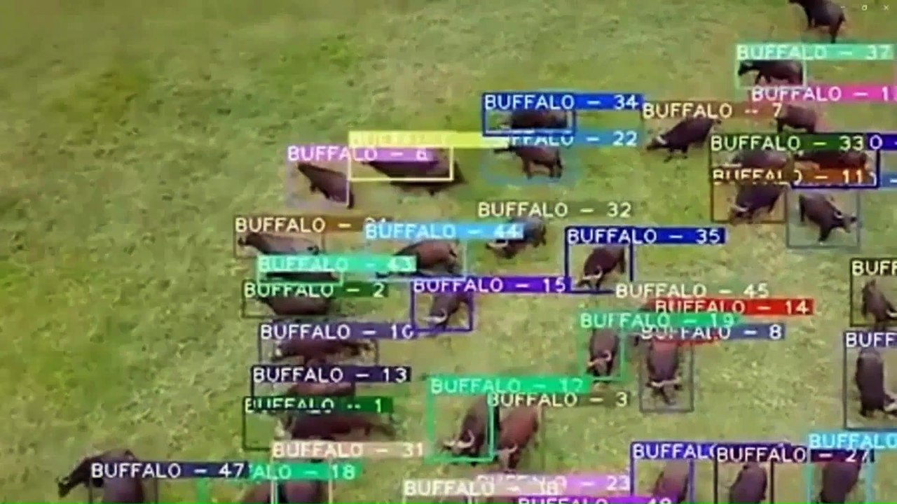 Intelligenza Artificiale 2