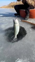 I'm not fishing for fish, I just want to sit by the water.
