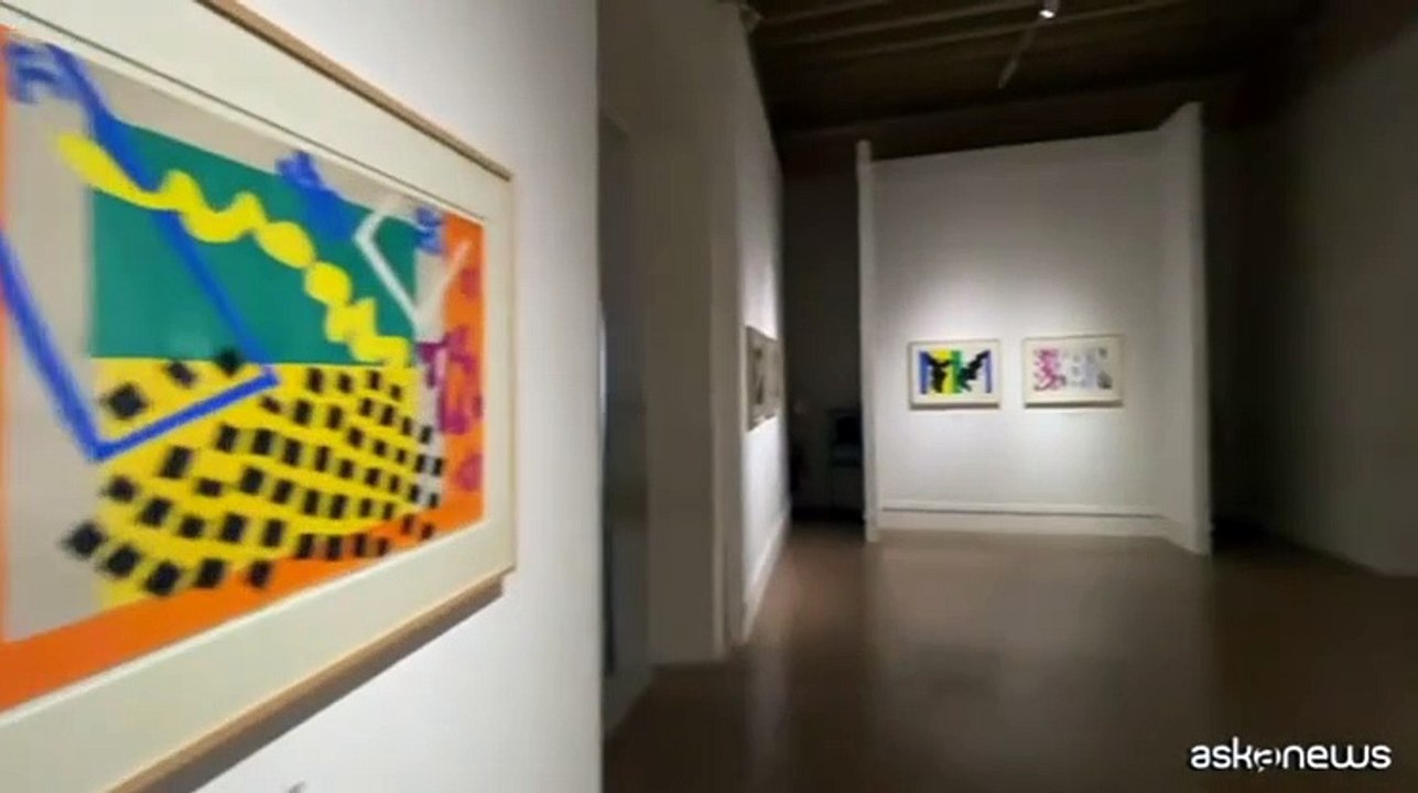 Avanguardie e disegno: a Padova da Matisse e Picasso a Calder