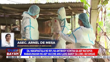 Télécharger la video: D.A., nakapagtala ng 90% na antibodies kontra ASF sa mga nabakunahang baboy sa Batangas