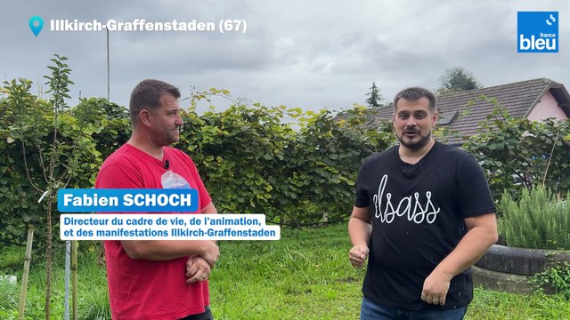 3/5 : que font les brigades du tigre à Illkirch-Graffenstaden ?