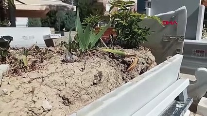 Müslüme Yağal'ın mezarını görenler inanamadı! Bırakılan 'emzik' dikkat çekti