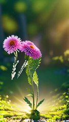 Fun Nature Entertainment