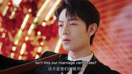 English Subtitles for Videos