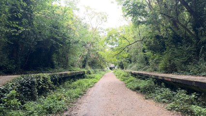 London’s spookiest spots for Halloween: Parkland walk