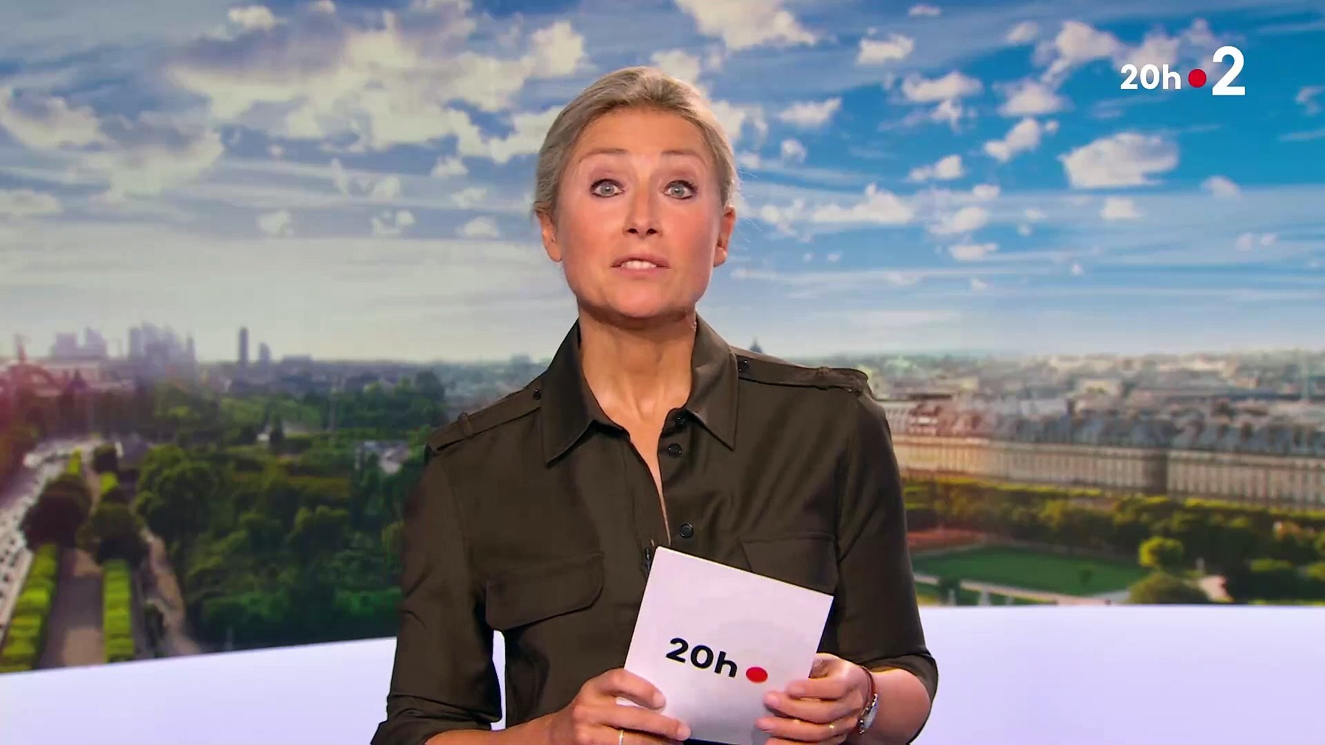 Anne-Sophie Lapix présente ses excuses en direct dans le 20h de France 2  après une erreur commise dans le journal : "Il s'agissait d'une parodie"