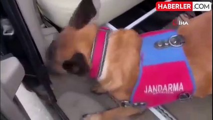 Jandarma Operasyonunda Kaleşnikof Şarjörü ve Uyuşturucu Ele Geçirildi