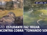 Estudante dá de cara com cobra "tomando sol" em cachoeira; vídeo - Redes sociais