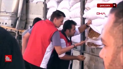 Suriye’den gelen tırda 79 ton ceviz içi ele geçirildi