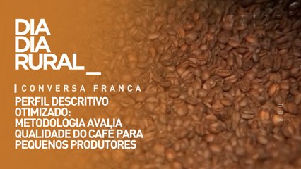 Perfil descritivo otimizado:  metodologia avalia qualidade do café para pequenos produtores