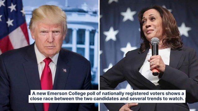 Harris Vs. Trump: Vice President Leads 2024 Election Poll — Young Voters Help, But Voter Issues Could Spell Trouble