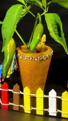 Mini Plants Red chili miniature | miniature | asmr