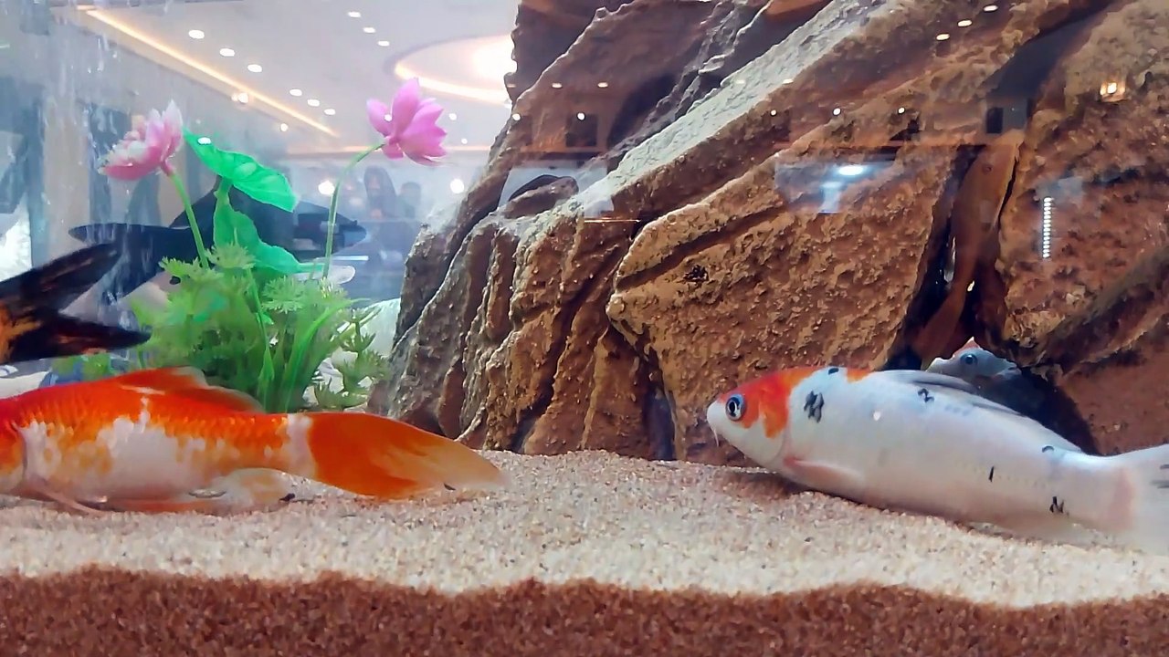 المغرب مكناس فاس طنجة Rabat Maroc morroco casa bla