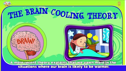 THINGS TO KNOW - KIDS VIDEOS __ THINGS TO LEARN - LEARNING VIDEOS FOR KIDS