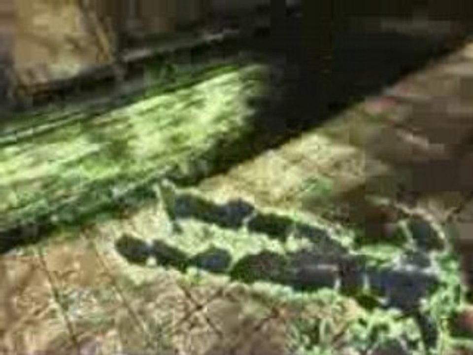 T_midwaygamerday2k8_ut3_xbox360_h264