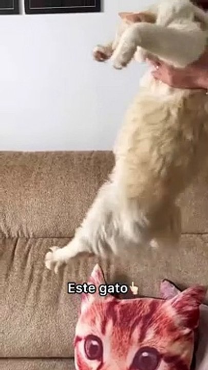 essa gata kkk