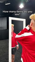 How Many Twins Can You Spot