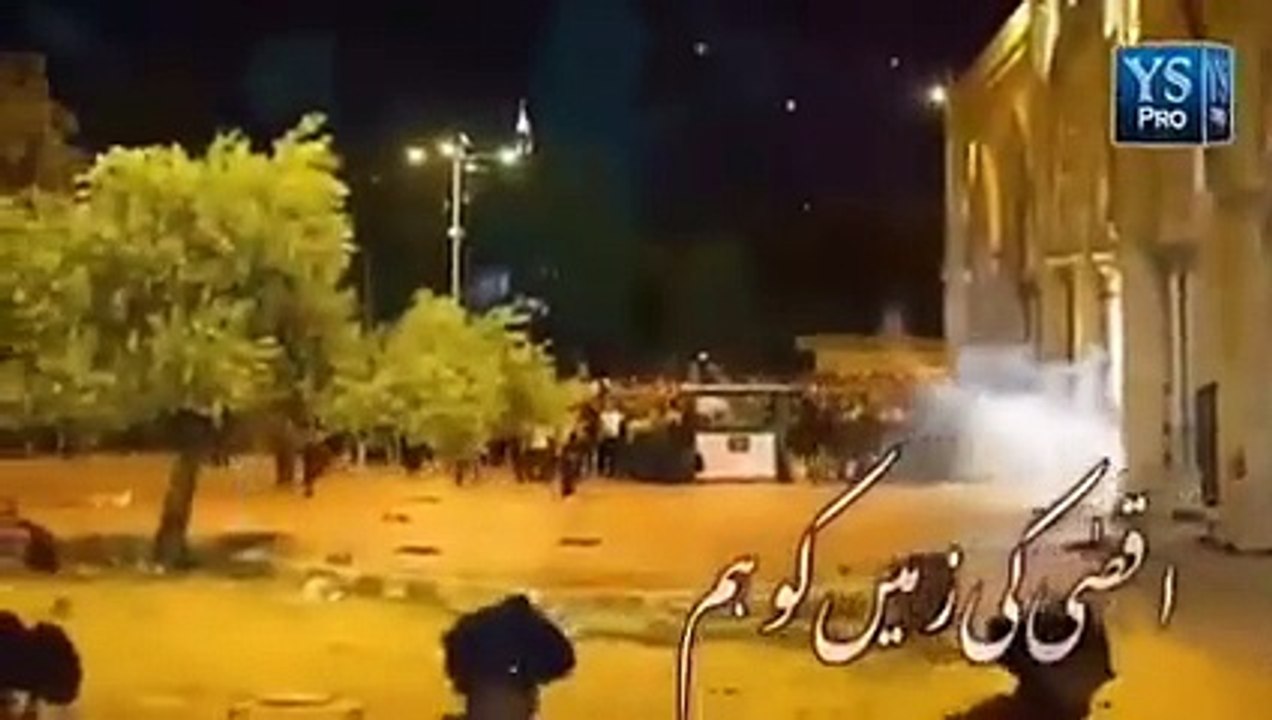 VID-20241004-WA0110