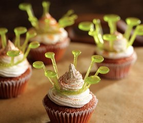 Des idées de desserts alléchantes pour impressionner vos invités ! 