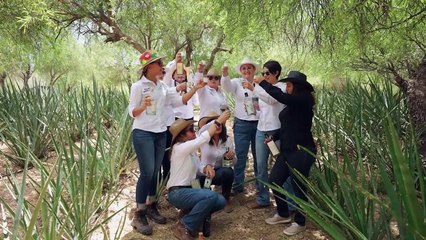 'Las hijas del maguey' - Tráiler Oficial