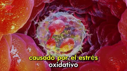 BEBIDAS MATINALES para BAJAR LA GLUCOSA