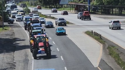 Arroceros realizan caravana en rechazo a la importación