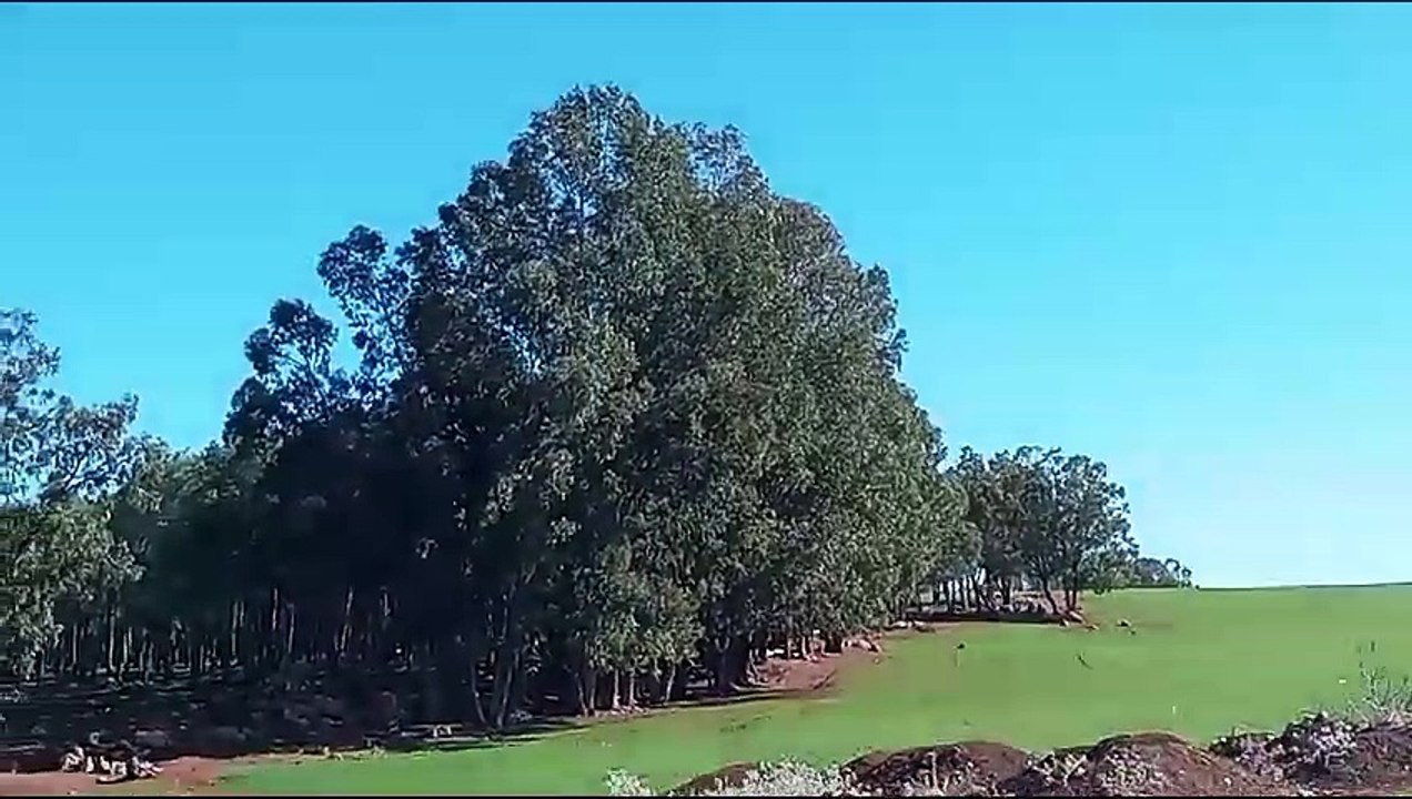 المغرب مكناس فاس طنجة Rabat Maroc morroco casa bla. 20