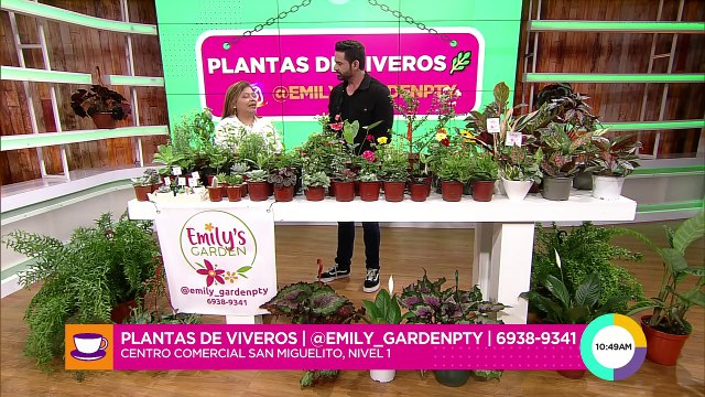 Planta de viveros