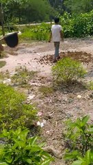 ও বিড়ালটিকে খুব ভালো বাসে