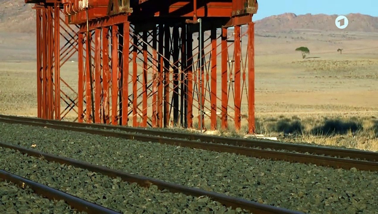 Die Wüstenpferde Namibias - Afrikas wilder Westen