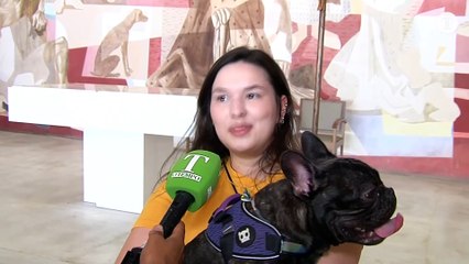 ACOMPANHE AO VIVO FM O TEMPO AO VIVO (3317)