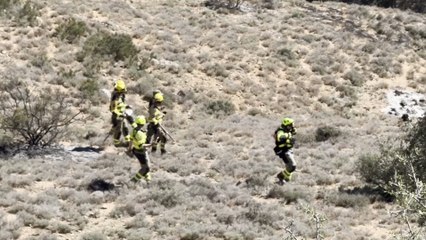 Delegado de Aragón: "Llevará tiempo averiguar las causas del accidente"