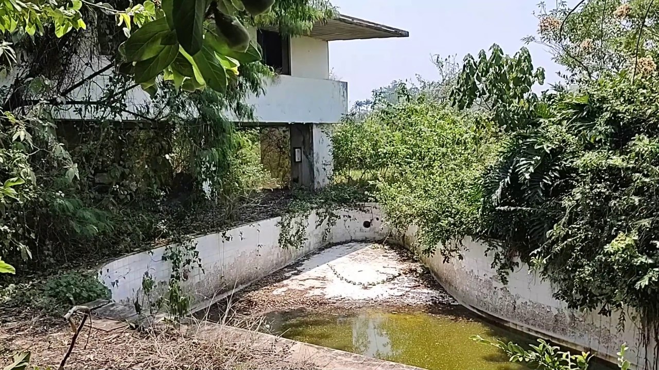 HEBE CAMARGO TEM A MANSÃO ABANDONADA E TOMADA PELO MATO